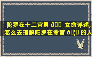 陀罗在十二宫男 🐠 女命详述,怎么去理解陀罗在命宫 🦈 的人